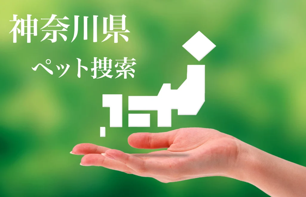 神奈川県内でのペット捜索は即日対応のプライベートアイへ