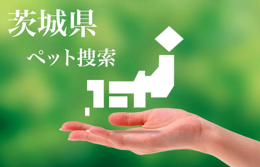 茨城県内でのペット捜索は即日対応のプライベートアイへ