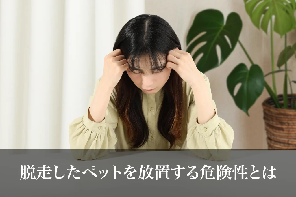 脱走したペットを放置する危険性とは｜ペット探偵の事例から学ぶリスクについて