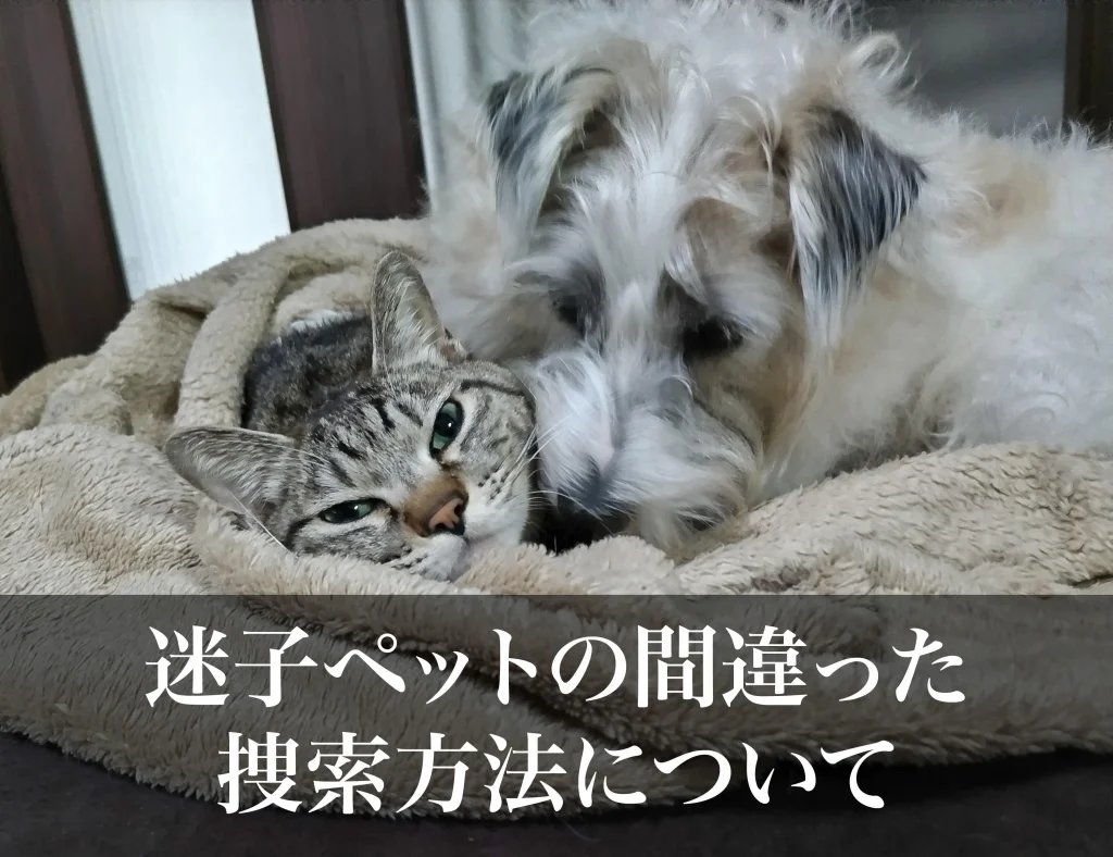 迷子ペットの間違った捜索方法について